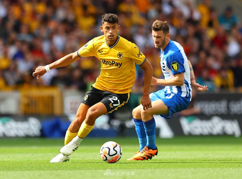 凌空抽射完 凌空抽射完